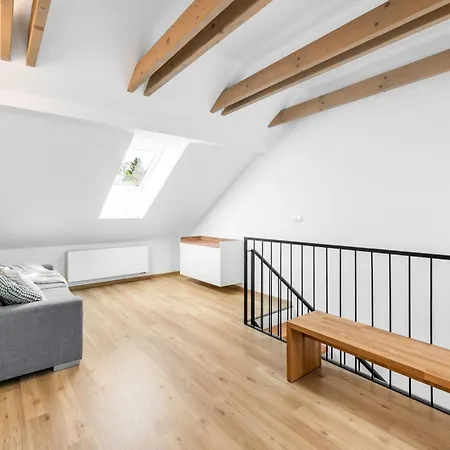 Apartment Losov Olmütz